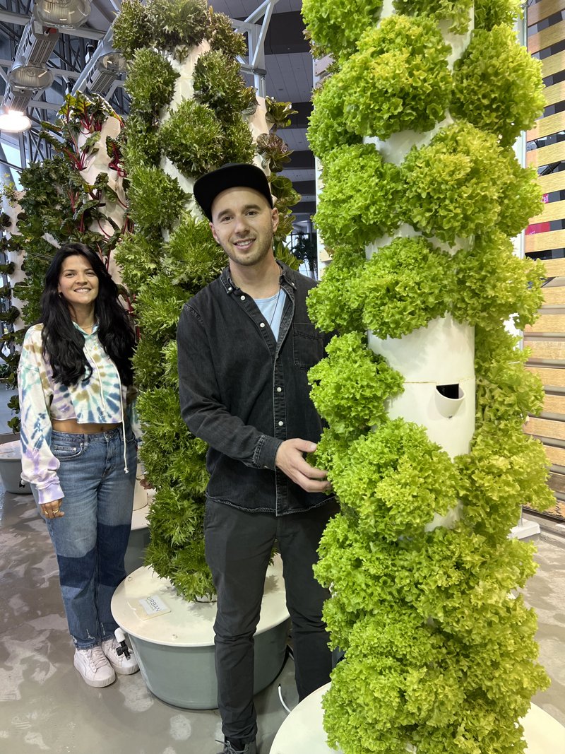 aeroponic-farm-visit