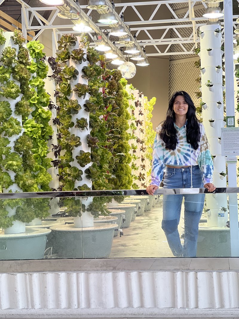 visit-farm-with-tower-garden