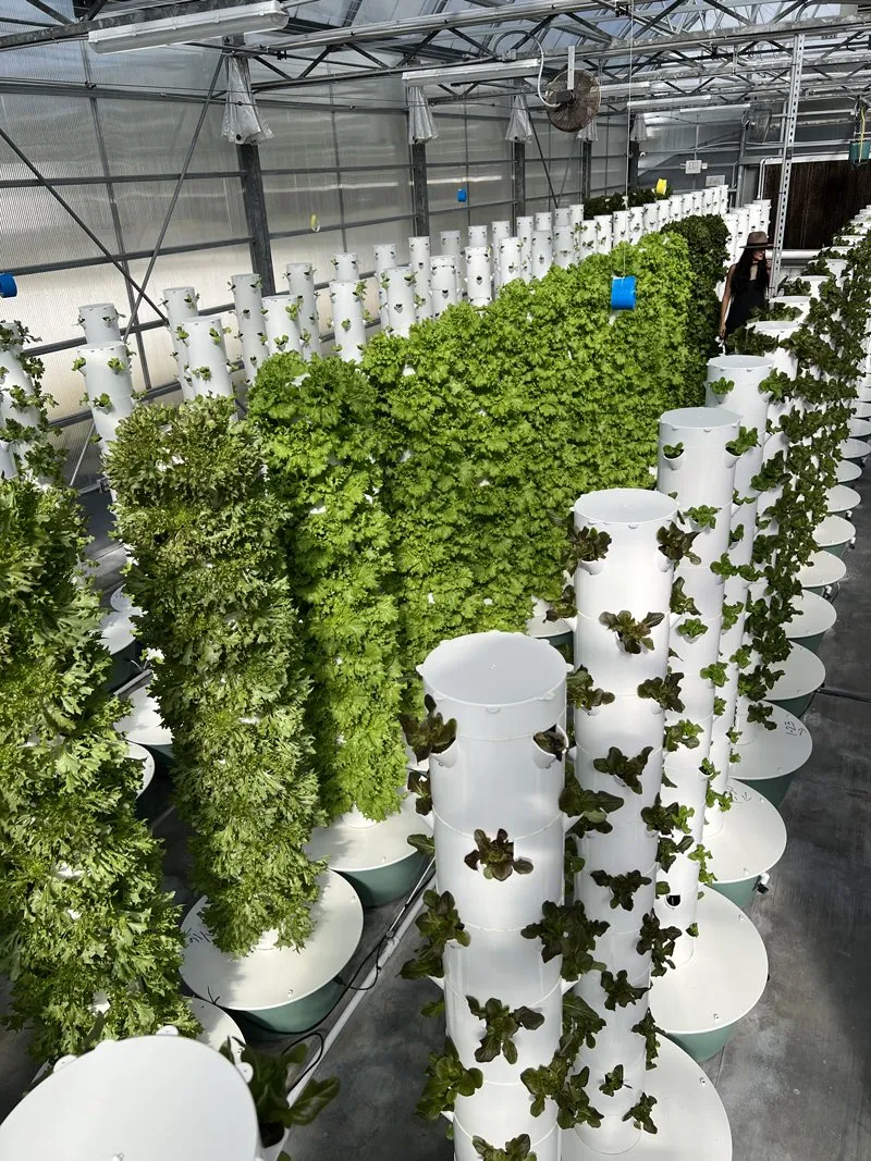 visit-tower-farm